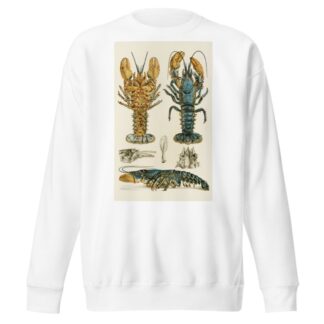 Crustacea II by Frederick McCoy Sweatshirt