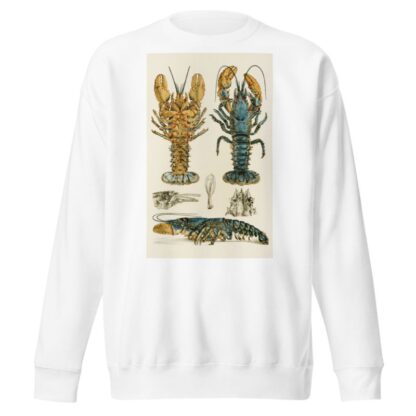 Crustacea II by Frederick McCoy Sweatshirt