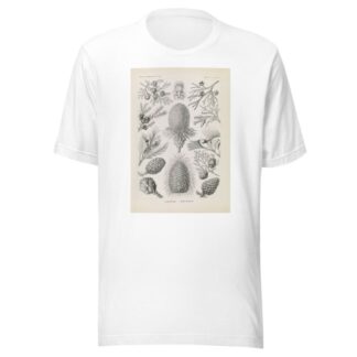 Coniferae. – Bapfenbäume by Ernst Haeckel T-Shirt