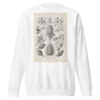 Coniferae. – Bapfenbäume by Ernst Haeckel Sweatshirt