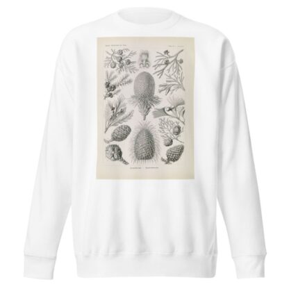 Coniferae. – Bapfenbäume by Ernst Haeckel Sweatshirt
