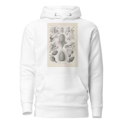 Coniferae. – Bapfenbäume by Ernst Haeckel Hoodie