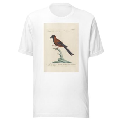 Ornithologia methodice digesta Pl.183 by Saverio Manetti T-Shirt