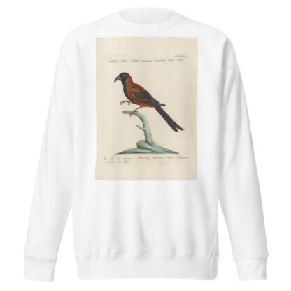 Ornithologia methodice digesta Pl.183 by Saverio Manetti Sweatshirt
