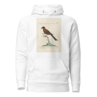 Ornithologia methodice digesta Pl.183 by Saverio Manetti Hoodie