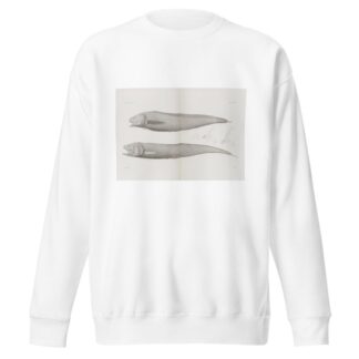 Memoirs of the Museum of Comparative Zoology at Harvard College Pl.36 by Harvard University. Museum of Comparative Zoology Sweatshirt