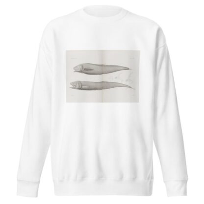 Memoirs of the Museum of Comparative Zoology at Harvard College Pl.36 by Harvard University. Museum of Comparative Zoology Sweatshirt