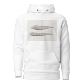 Memoirs of the Museum of Comparative Zoology at Harvard College Pl.36 by Harvard University. Museum of Comparative Zoology Hoodie