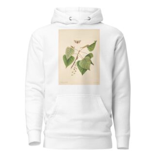The natural history of the rarer lepidopterous insects of Georgia Pl.071 by James Edward Smith Hoodie