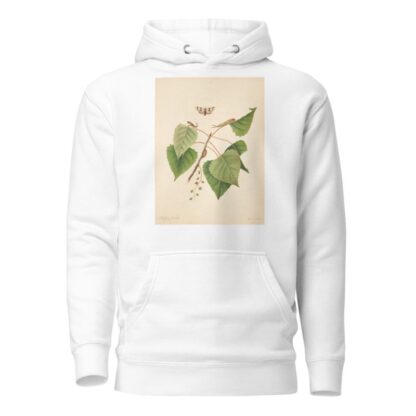 The natural history of the rarer lepidopterous insects of Georgia Pl.071 by James Edward Smith Hoodie