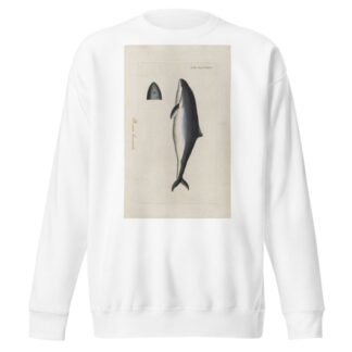 Icones rerum naturalium, ou figures enluminées d’histoire naturelle du nord Pl.41 by Peder Ascanius Sweatshirt