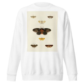 Foreign butterflies occurring in the three continents Asia, Africa and America Pl.113 by Pieter Cramer Sweatshirt
