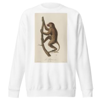 Le Papion, variété A by Jean-Baptiste Audebert Sweatshirt