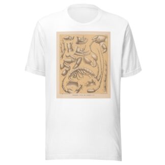 The cave fauna of North America Pl 05 by Alpheus Spring Packard T-Shirt