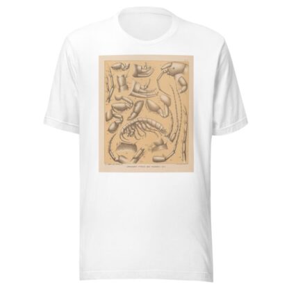 The cave fauna of North America Pl 05 by Alpheus Spring Packard T-Shirt