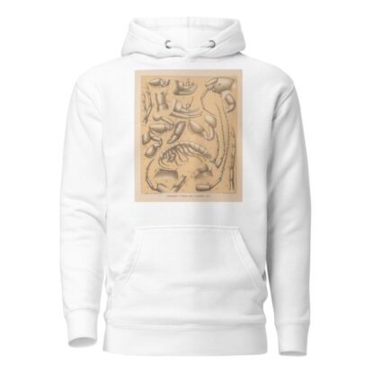 The cave fauna of North America Pl 05 by Alpheus Spring Packard Hoodie