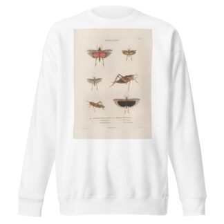 Insectes recueillis en Afrique et en Amérique Pl.45 by Jean Gabriel Prêtre Sweatshirt