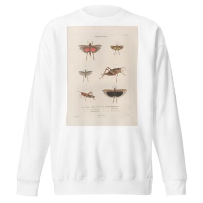 Insectes recueillis en Afrique et en Amérique Pl.45 by Jean Gabriel Prêtre Sweatshirt