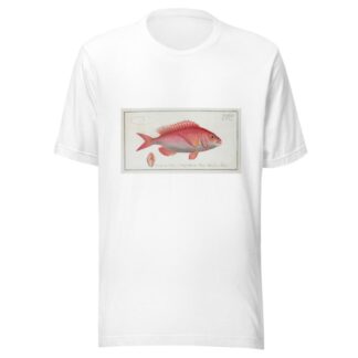 Sparus Erythrinus, The Sea-Roach [Rough]. by Marcus Elieser Bloch T-Shirt