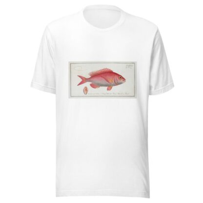 Sparus Erythrinus, The Sea-Roach [Rough]. by Marcus Elieser Bloch T-Shirt
