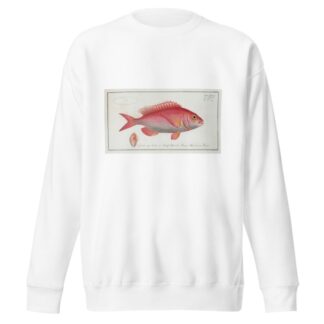 Sparus Erythrinus, The Sea-Roach [Rough]. by Marcus Elieser Bloch Sweatshirt