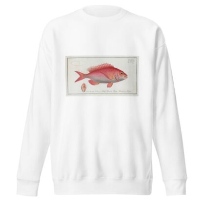 Sparus Erythrinus, The Sea-Roach [Rough]. by Marcus Elieser Bloch Sweatshirt