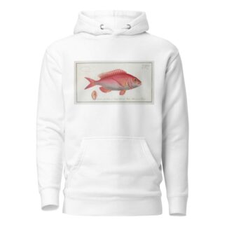 Sparus Erythrinus, The Sea-Roach [Rough]. by Marcus Elieser Bloch Hoodie