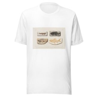 Recherches sur les poissons fossiles Pl.088 by Louis Agassiz T-Shirt