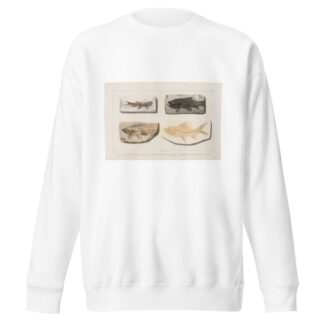 Recherches sur les poissons fossiles Pl.088 by Louis Agassiz Sweatshirt