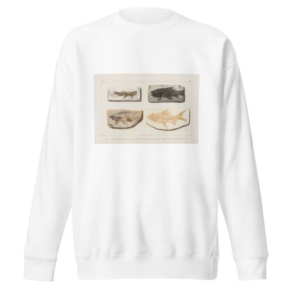 Recherches sur les poissons fossiles Pl.088 by Louis Agassiz Sweatshirt
