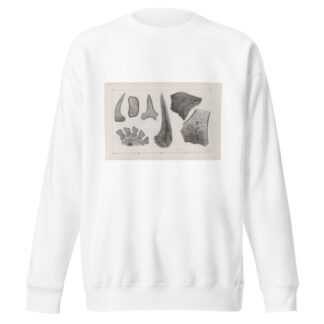 Recherches sur les poissons fossiles Pl.269 by Louis Agassiz Sweatshirt