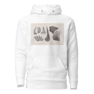 Recherches sur les poissons fossiles Pl.269 by Louis Agassiz Hoodie