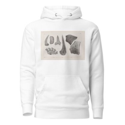 Recherches sur les poissons fossiles Pl.269 by Louis Agassiz Hoodie