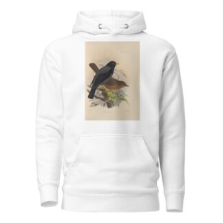 Merula Flavipes by Henry Seebohm Hoodie