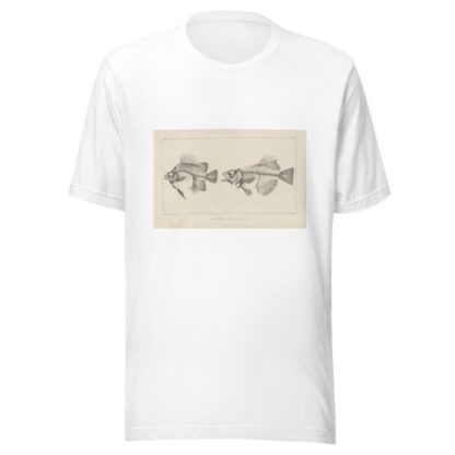 Recherches sur les poissons fossiles Pl.343 by Louis Agassiz T-Shirt