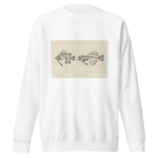 Recherches sur les poissons fossiles Pl.343 by Louis Agassiz Sweatshirt