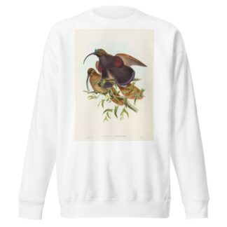 Drepanornis albertisi by John Gould Sweatshirt
