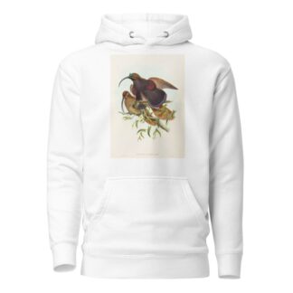 Drepanornis albertisi by John Gould Hoodie