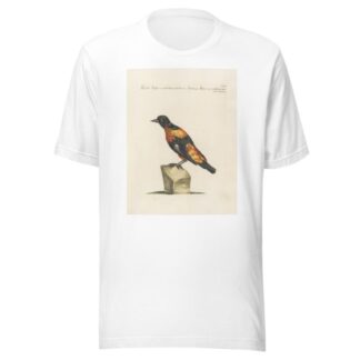 Ornithologia methodice digesta Pl.288 by Saverio Manetti T-Shirt