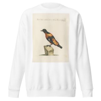 Ornithologia methodice digesta Pl.288 by Saverio Manetti Sweatshirt