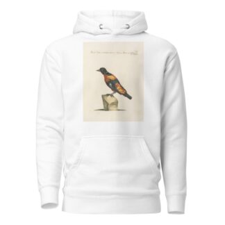 Ornithologia methodice digesta Pl.288 by Saverio Manetti Hoodie