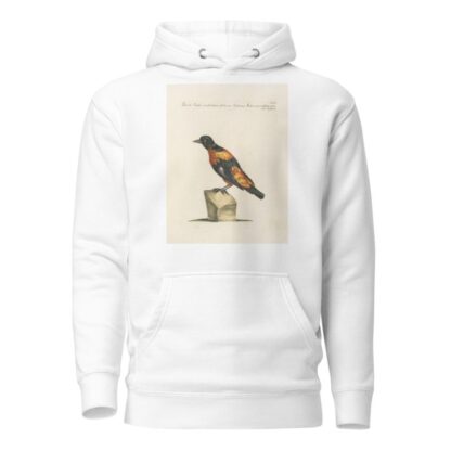 Ornithologia methodice digesta Pl.288 by Saverio Manetti Hoodie