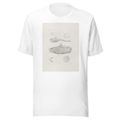 Memoirs of the Museum of Comparative Zoology at Harvard College Pl.46 by Harvard University. Museum of Comparative Zoology T-Shirt