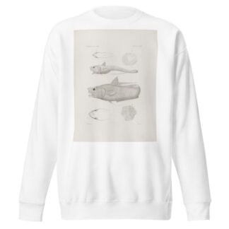 Memoirs of the Museum of Comparative Zoology at Harvard College Pl.46 by Harvard University. Museum of Comparative Zoology Sweatshirt