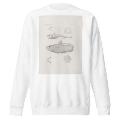 Memoirs of the Museum of Comparative Zoology at Harvard College Pl.46 by Harvard University. Museum of Comparative Zoology Sweatshirt