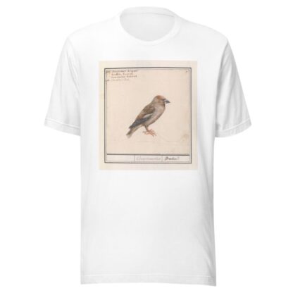 Appelvink by Anselmus Boëtius de Boodt T-Shirt