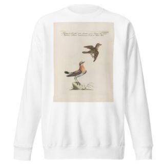 Ornithologia methodice digesta Pl.365 by Saverio Manetti Sweatshirt