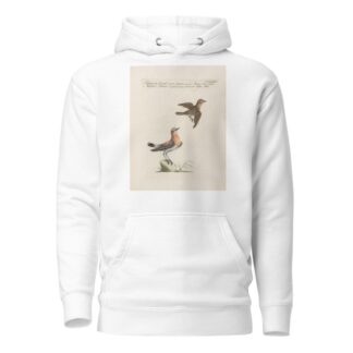 Ornithologia methodice digesta Pl.365 by Saverio Manetti Hoodie