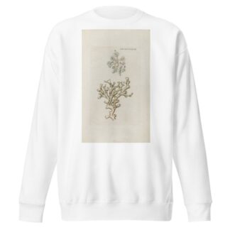 Icones rerum naturalium, ou figures enluminées d’histoire naturelle du nord Pl.48 by Peder Ascanius Sweatshirt