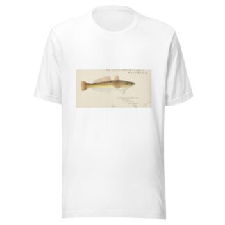 Platycephalus bassensis by Frank Edward Clarke T-Shirt